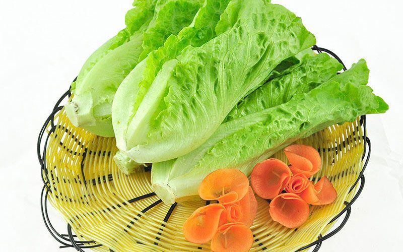 生菜